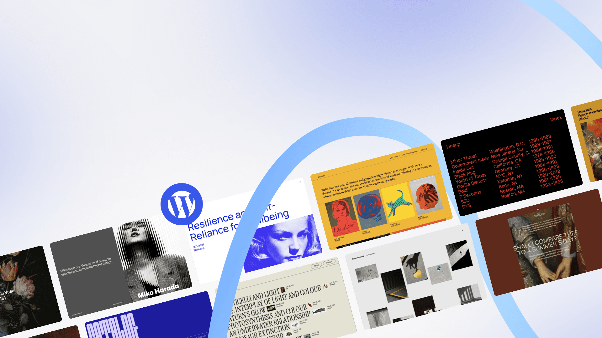 CMS & WordPress Development